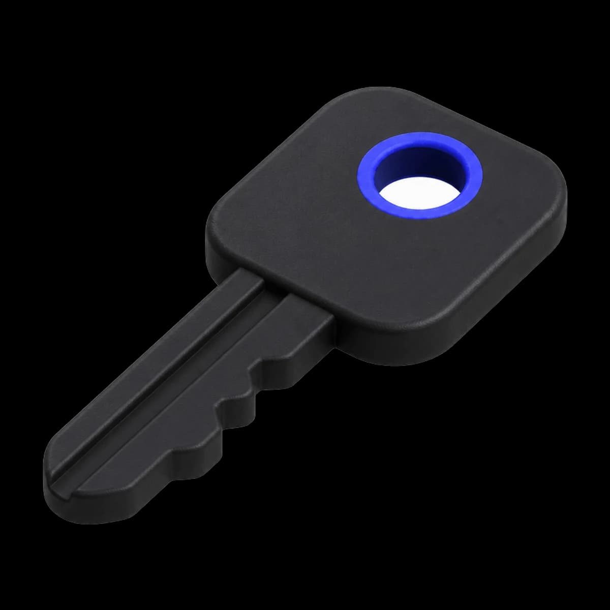 A matte black key with an indigo bow